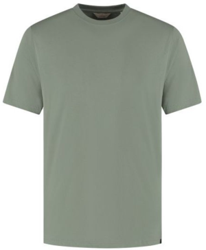  564 Green Shado
