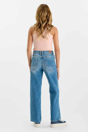  3001 BLUE