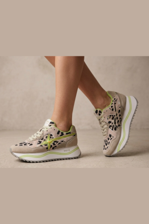 BEIGE BLACK GRE