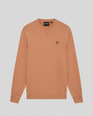  Y177 TERRACOTTA