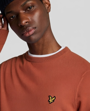  Y177 TERRACOTTA