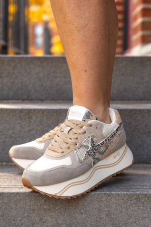  1D84 TAUPE MULT