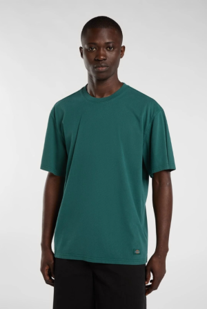  DARK GREEN DARK